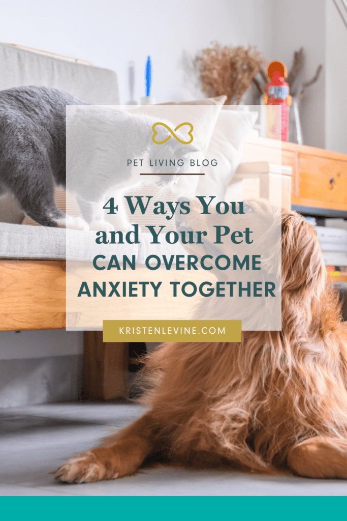 Pet anxiety is a heartbreaking issue. Here is how you and your pet can overcome it together.