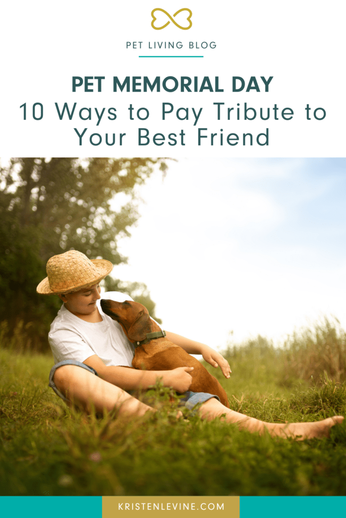 pet memorial day pin