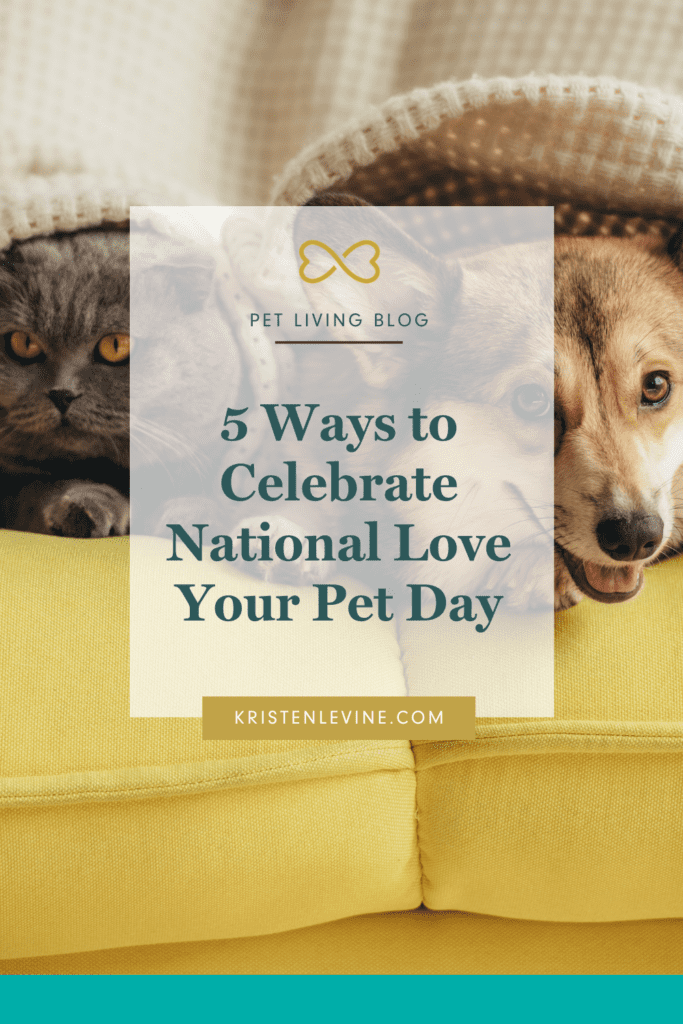Tell your pet you love him on National Love Your Pet Day