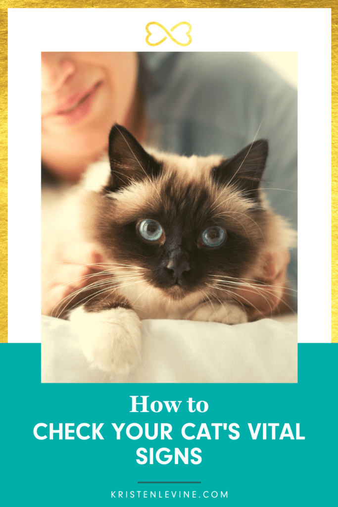 Tips on checking your cats health.