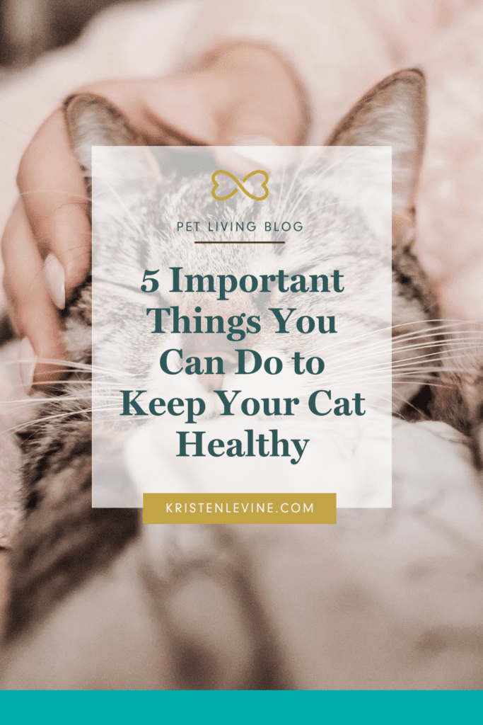 Cat parents can do these 5 important things to keep their kitties healthy!