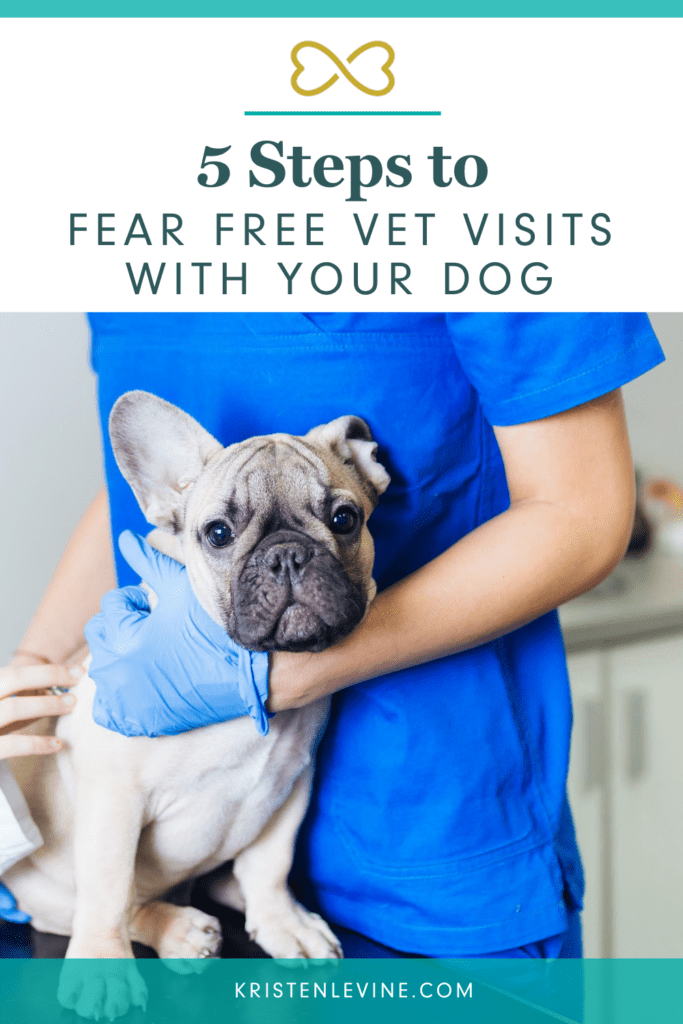 Vet visits don't have to cause your dog anxiety! Here's how to help.