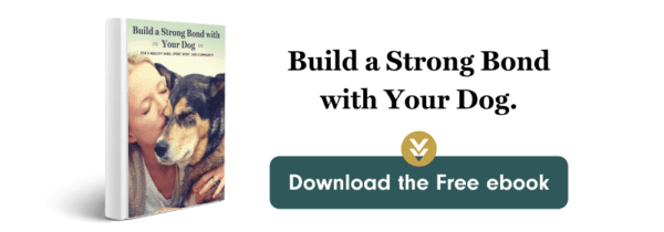 build a strong bond with your dog ebook