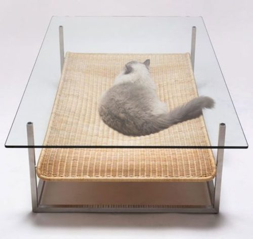 Cat Hammock