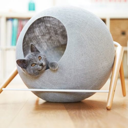 Cat furniture - cat cocoon