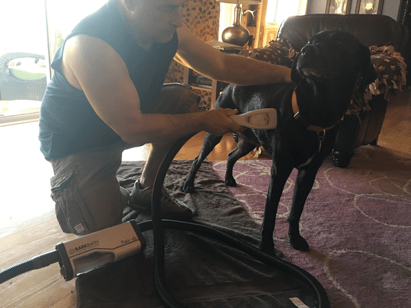 Chilly's BarkBath