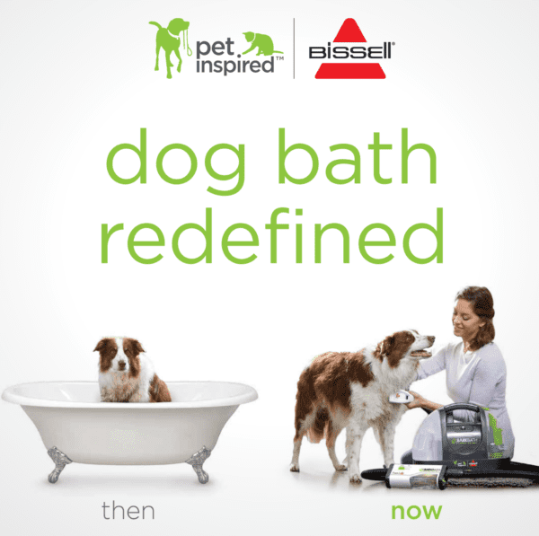 dog care with bissell