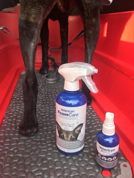 foam care bottles dog care