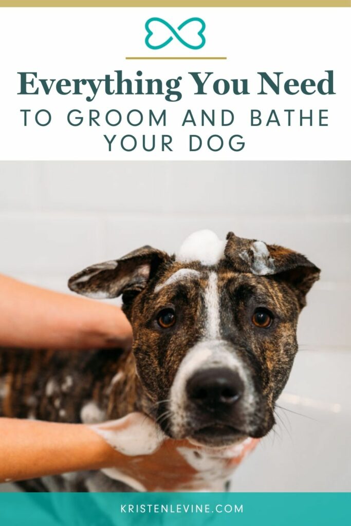 Giving your dog a bath doesn't have to be hard work!