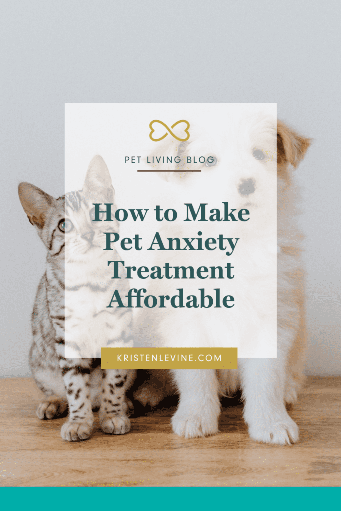 Pet anxiety treatment doesn't need to be expensive! Make it more affordable with these tips.