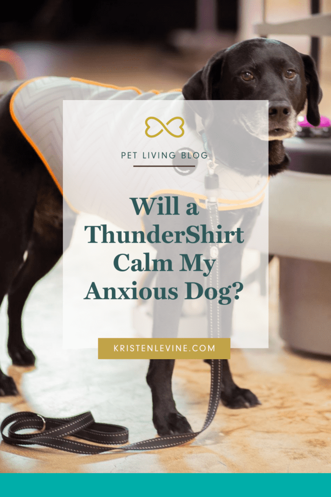 Is your dog anxious at loud noises? This drug-free solution can help!