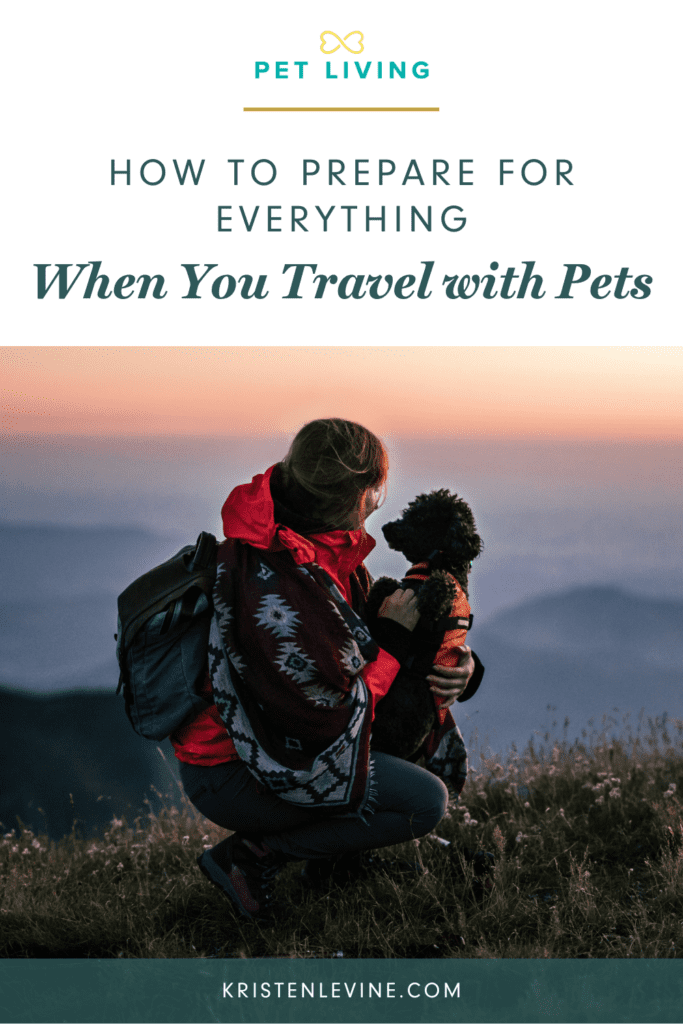 how to prepare for travel with pets pin