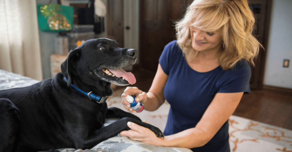 Skin And Wound Care At Home Has Never Been Easier With These Solutions.