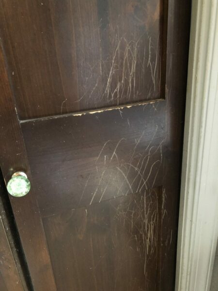 When Chilly's noise aversion made him panic, he would claw the doors trying to get into the closet