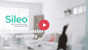 Learn how to administer SILEO