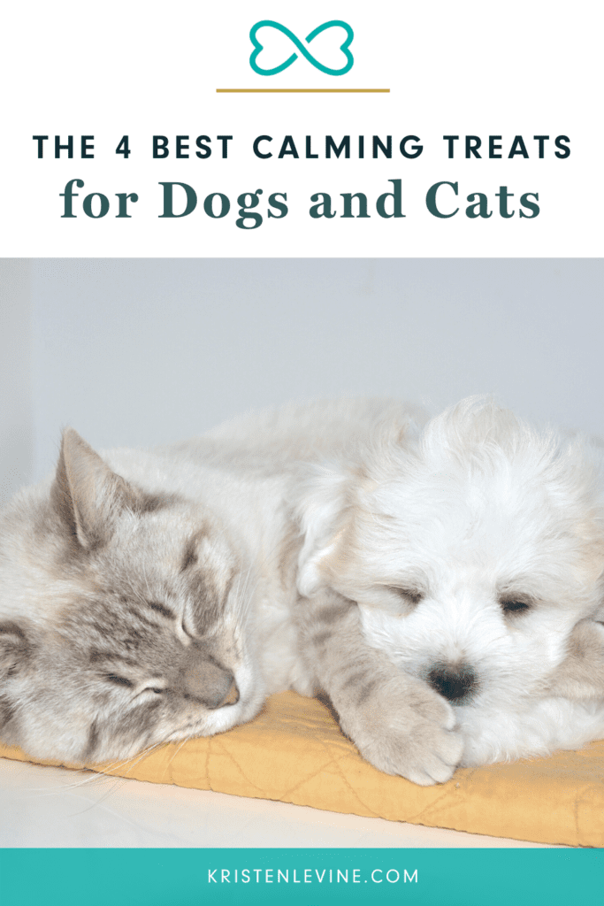 Best calming treats for dogs and cats