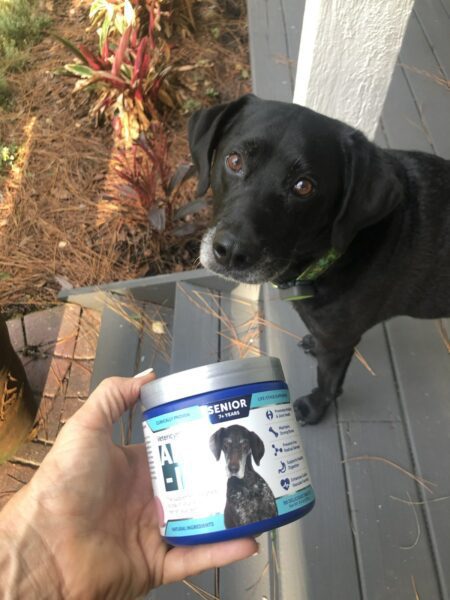 ALL-IN provides complete nutrition for senior dogs