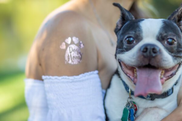 Pet Living Temporary Tattoos now on Amazon!
