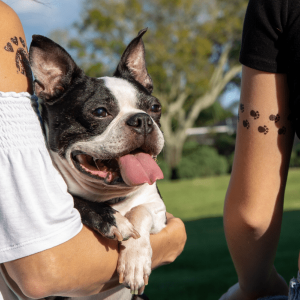 Pet Living Temporary Tattoos now on Amazon!