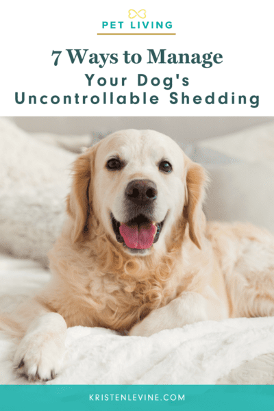 7 Ways to Manage Your Dog's Shedding