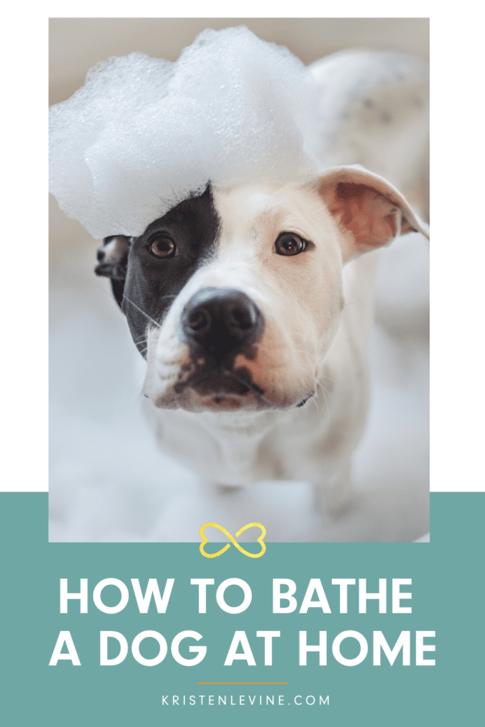 Bathe Your Dog At Home