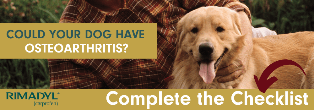 Complete the checklist to see if your dog has osteoarthritis.