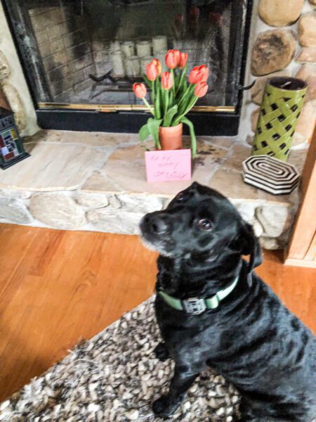 Chilly loves Mother's Day!