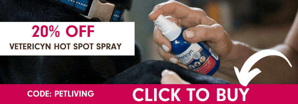 Fix your dog's hot spots quickly!