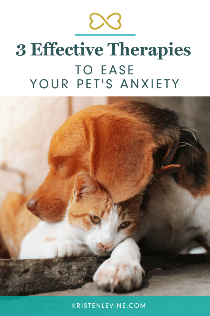 These natural solutions can help your help suffering from anxiety.
