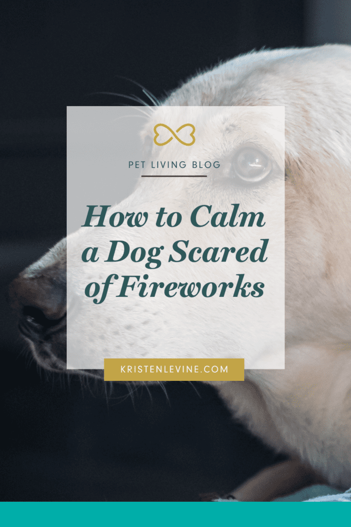 How to Calm a Dog Scared of Fireworks