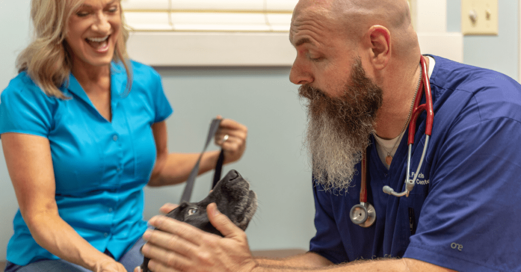 Here Is My Guide To Saving Money On Your Next Vet Visit.