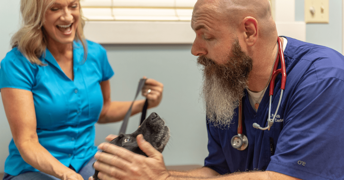 Here is my guide to saving money on your next vet visit.