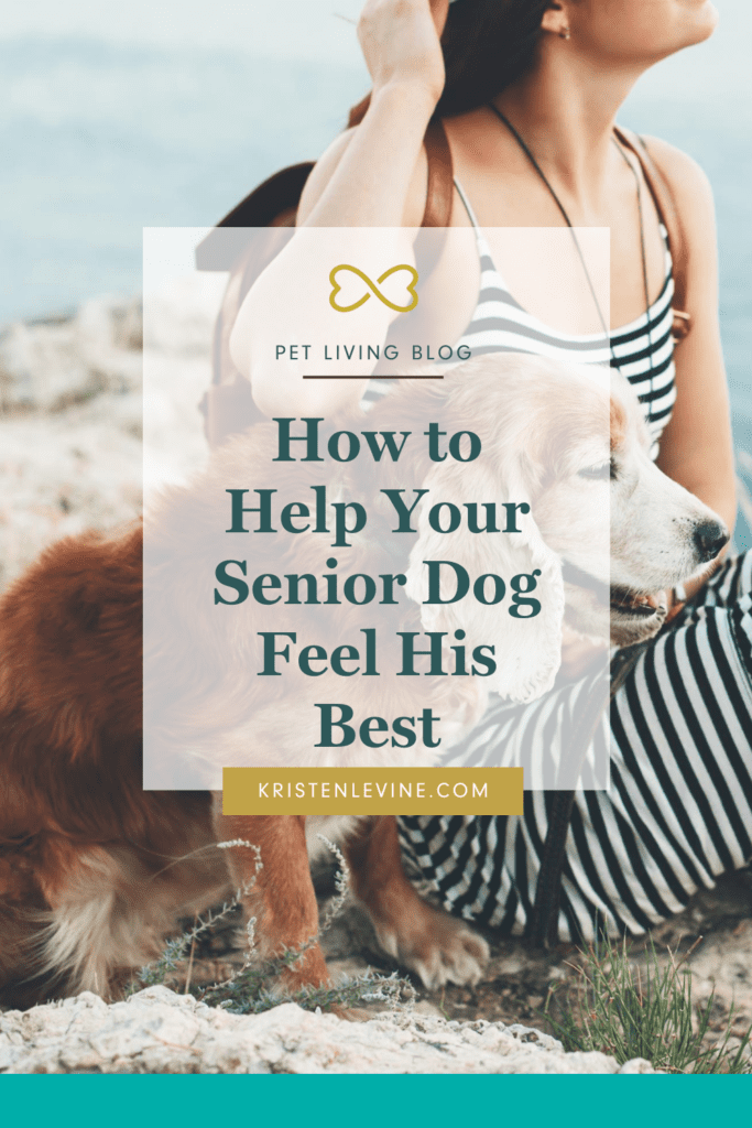 Help your dog sail into his golden years with these expert tips.