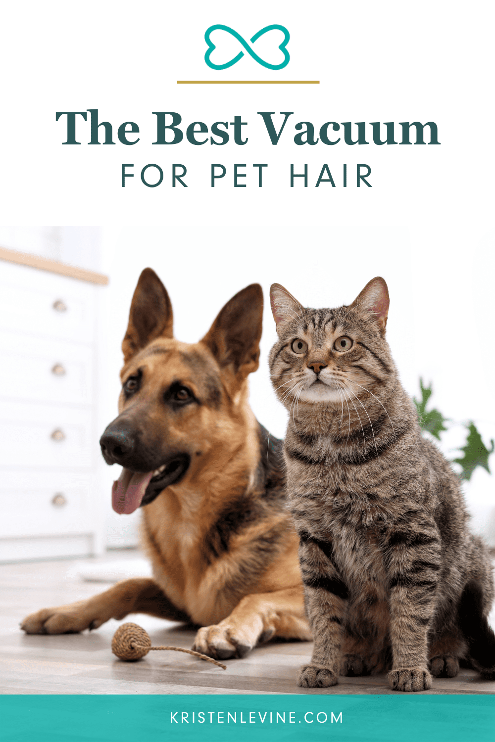 What are the best vacuums for pet hair? Find out here!
