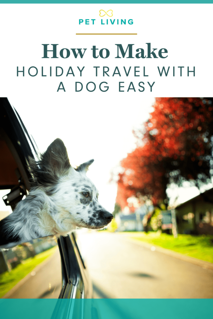 Pin Me - How to Make Holiday Travel with A Dog Easy