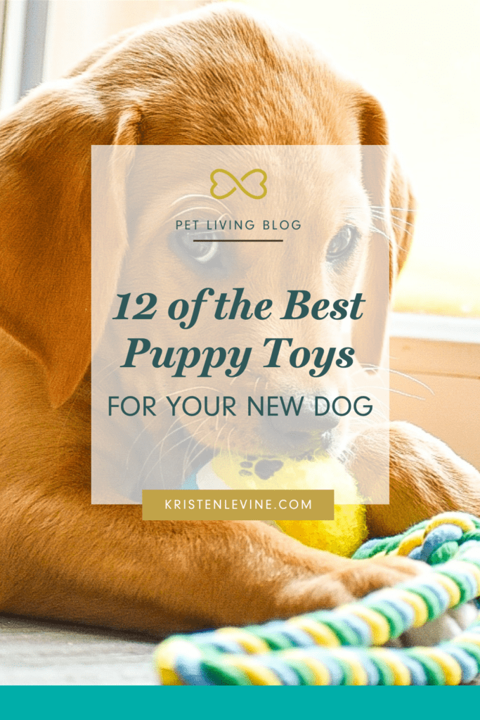 New Puppy? Here's my tried and true, puppy-tested and approved favorite toys!