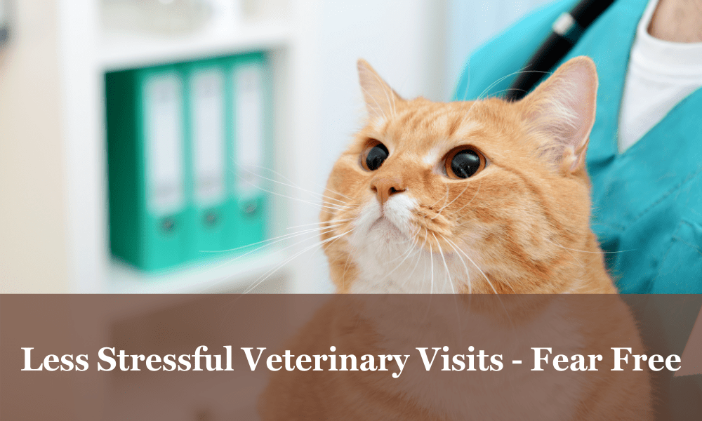 Less stressful veterinary visits