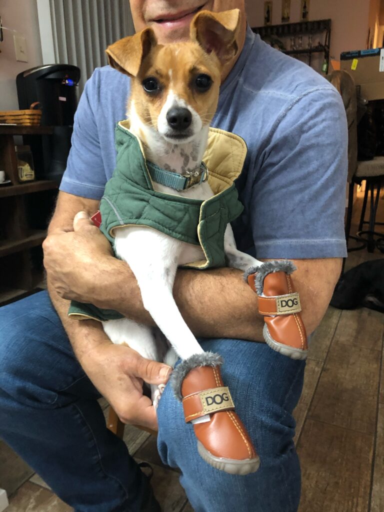 Tulip in Boots