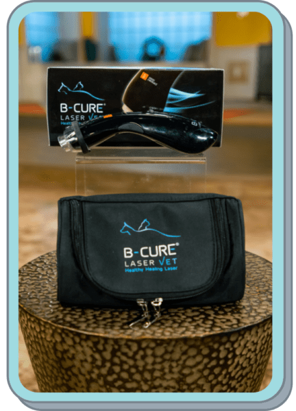 b cure cold laser therapy device
