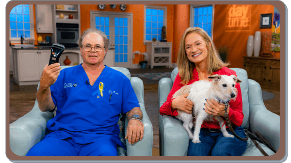 kristen doctor kane and b cure laser vet