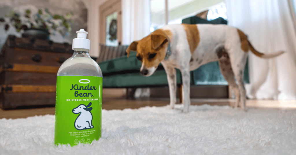 Kinderbean - The Best Enzyme Cleaner For Dog Urine.