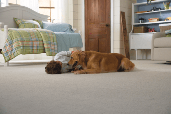 smartstrand carpet great for stains