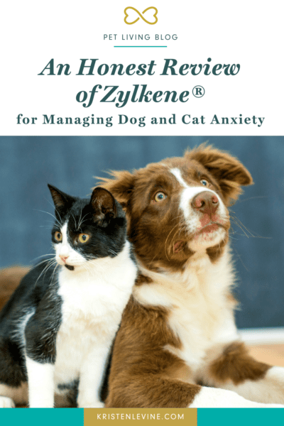 An Honest Review of Zylkene for Managing Dog and Cat Anxiety