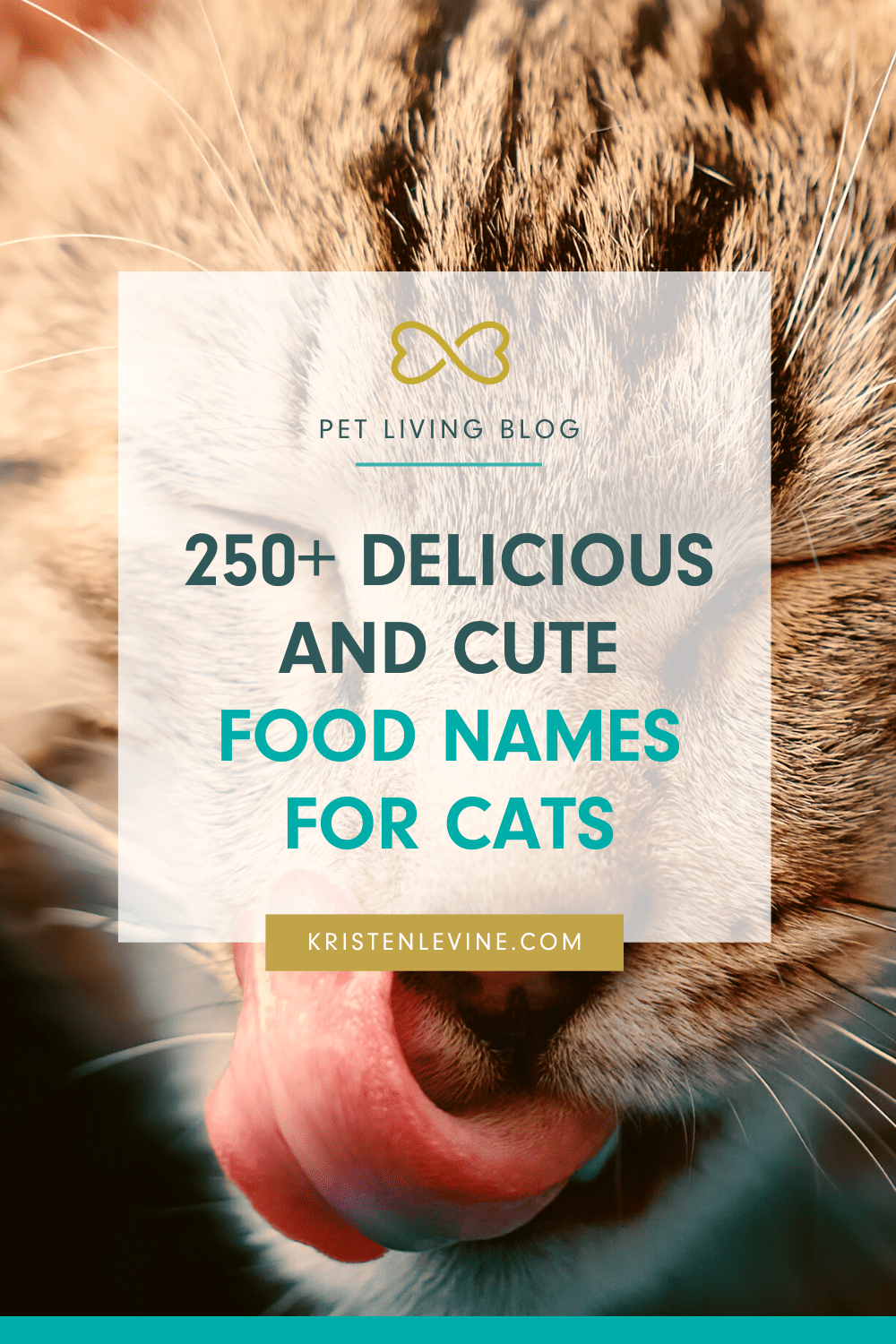 Cute food names for cats.