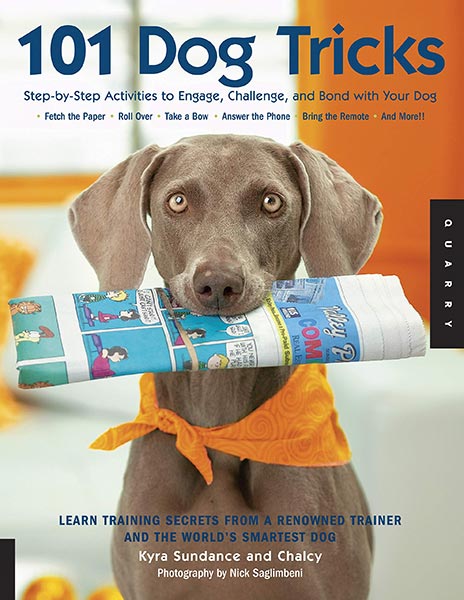 Book cover of 101 Dog Tricks