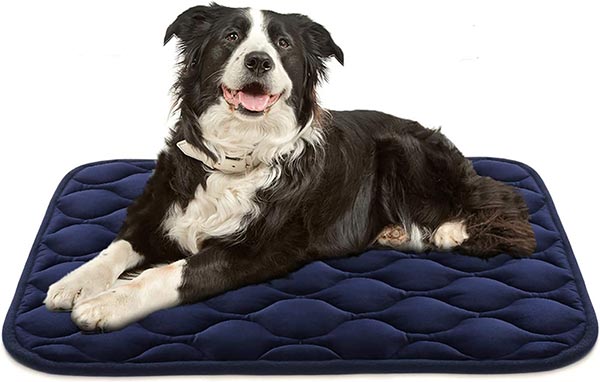 Photo of a Border Collie laying on an AIPERRO Dog Crate Pad Washable Dog Bed Mat