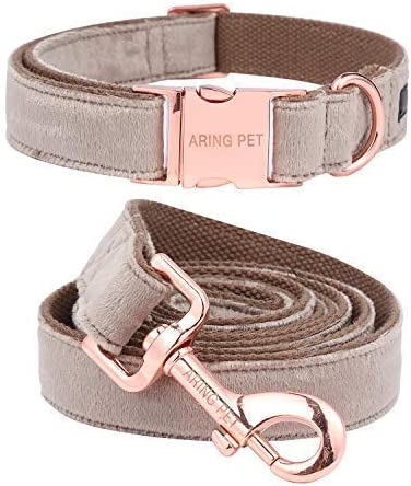 Photo of an ARING PET Dog Collar and Leash