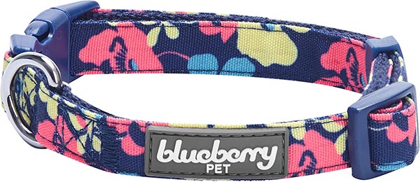 Photo of a Blueberry Pet Floral Dog Collar