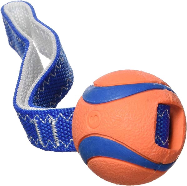 Photo of a Chuckit! Ultra Tug and Toss Dog Toy