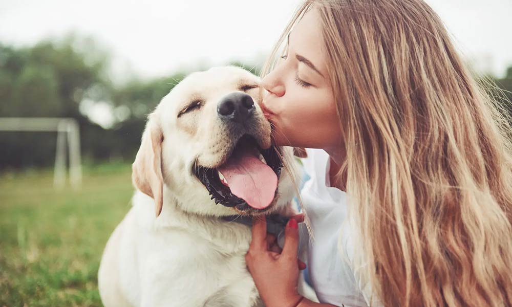 Photo Of A Girl Kissing A Yellow Labrador Outside In A Soccer Field